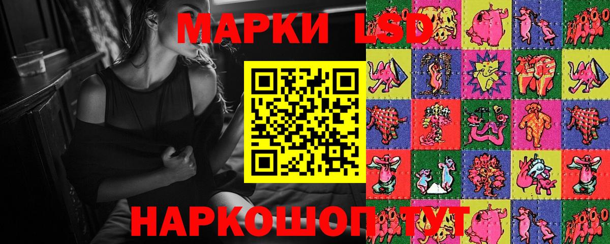 Наркотические марки 1500мкг  Марки N-bome  Бердск  Вход с VPN  Наркотические марки 1500мкг 