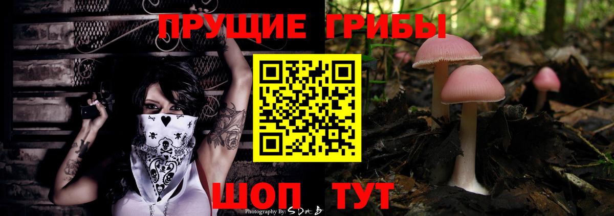 Галлюциногенные грибы ЛСД  Вход с VPN  Бердск 
